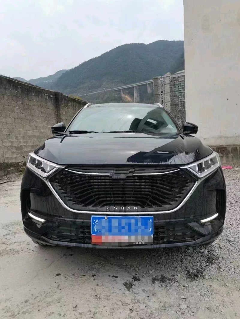 重庆20年长安汽车欧尚1