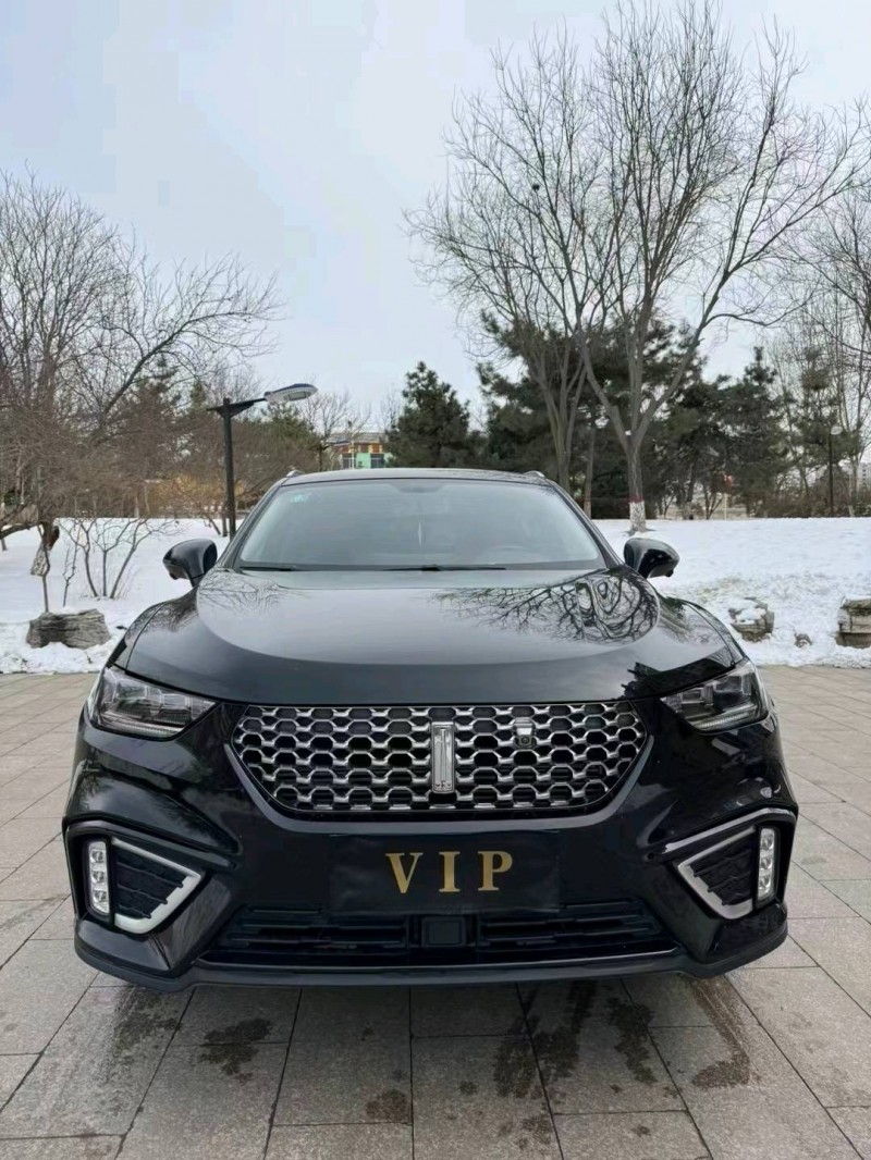 邢台20年长城汽车WEY VV51