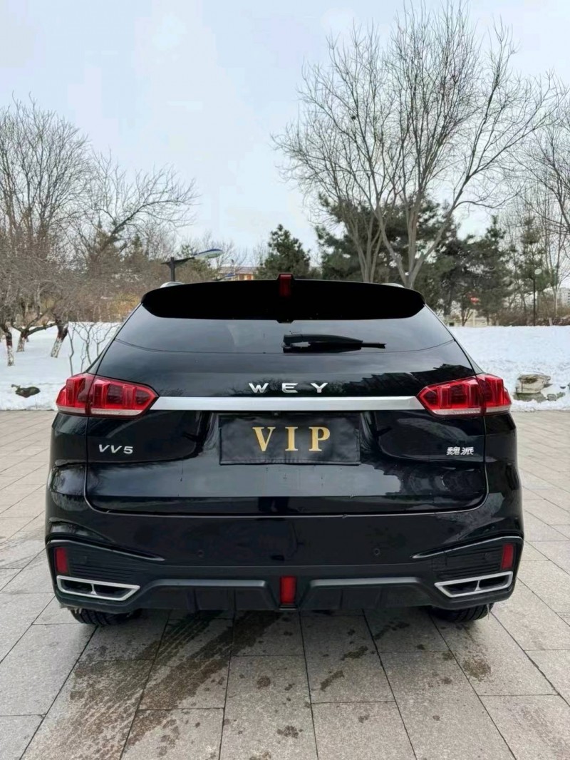 邢台20年长城汽车WEY VV59