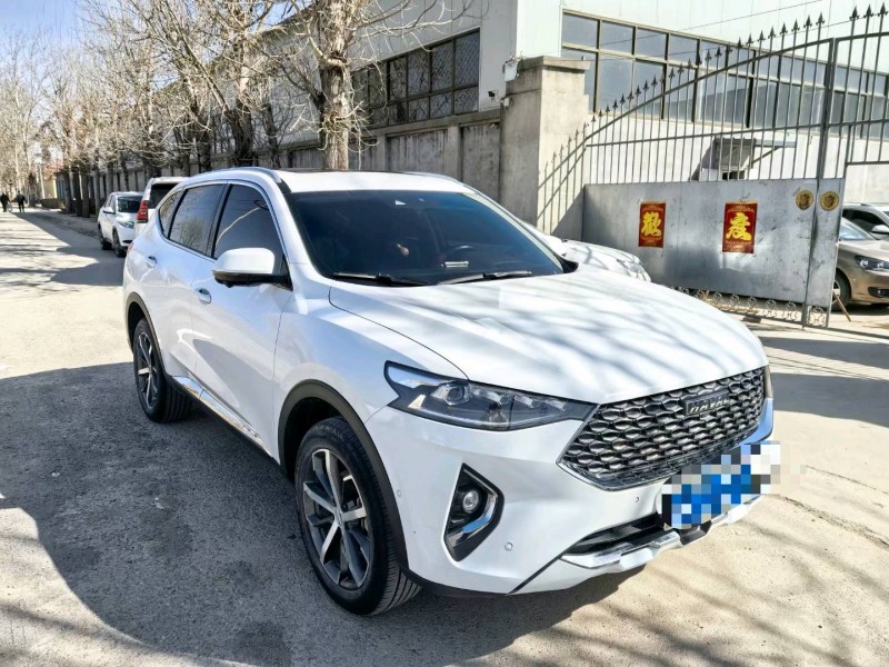 保定20年哈弗F73