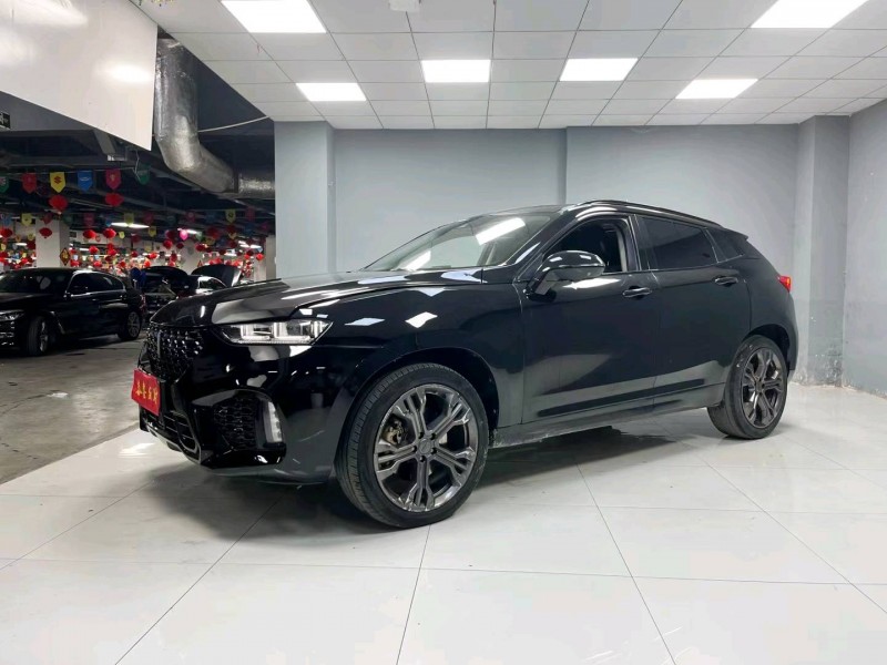 成都18年长城汽车WEY VV73