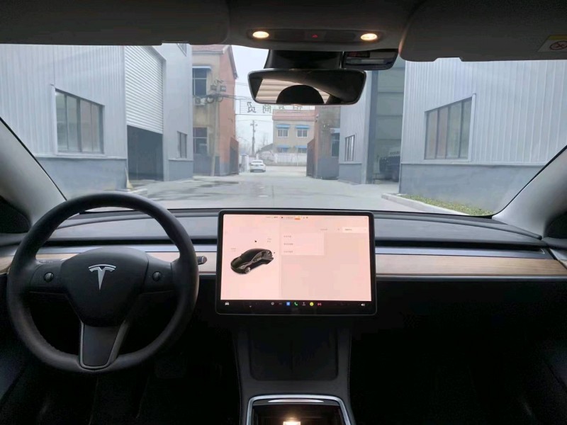 徐州22年特斯拉MODEL 38