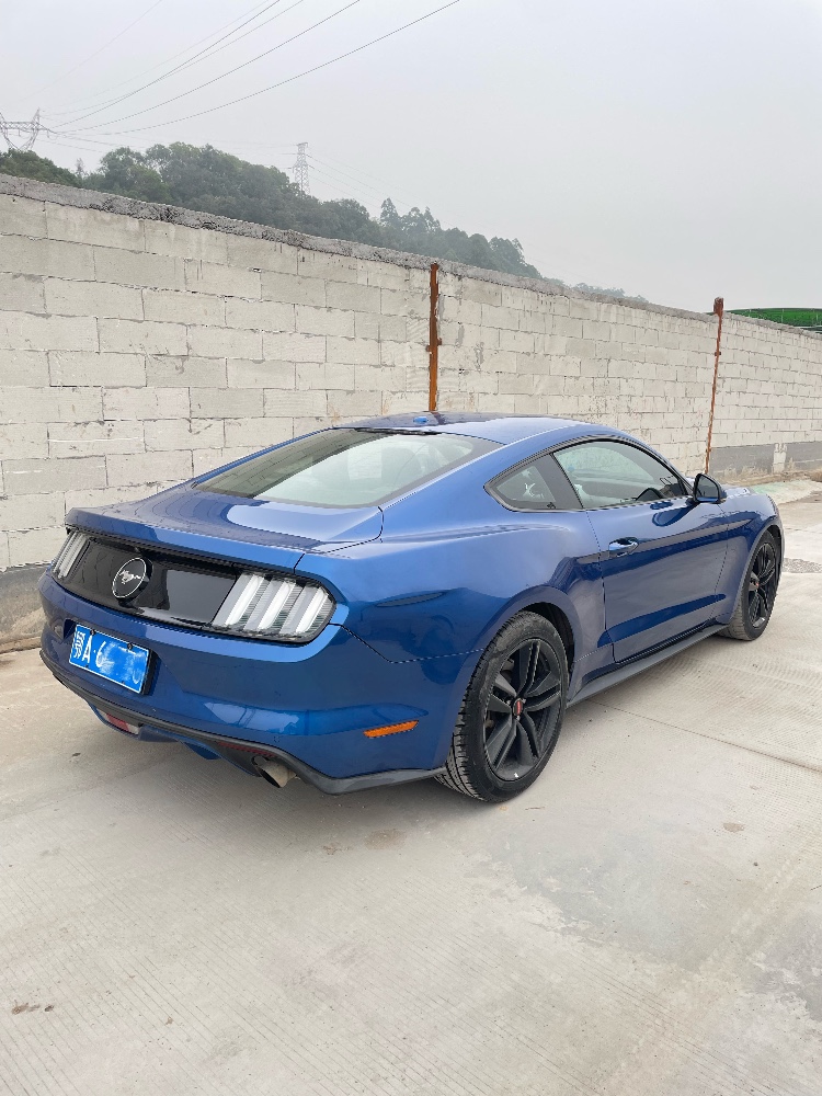 佛山18年福特野马3