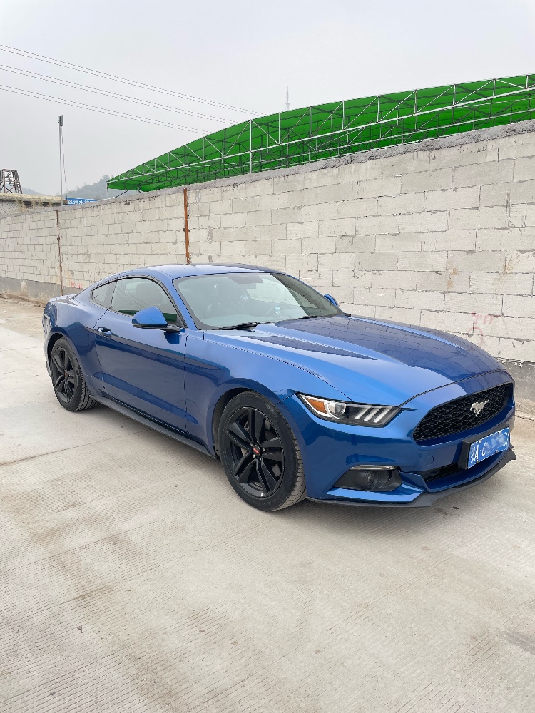 佛山18年福特野马9