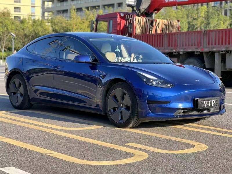 东营22年特斯拉MODEL 32