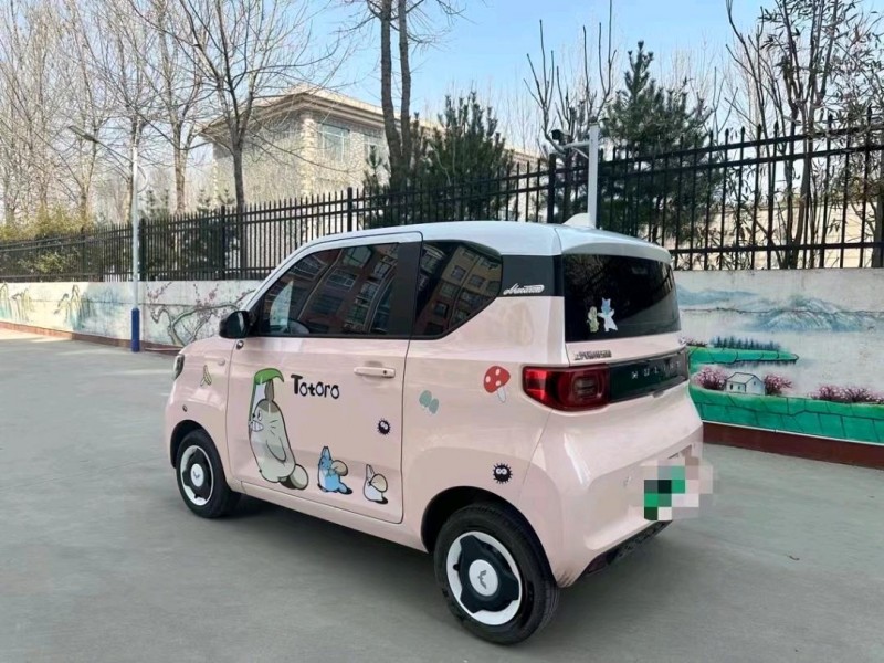 東營22年五菱汽車MINIEV馬卡龍5