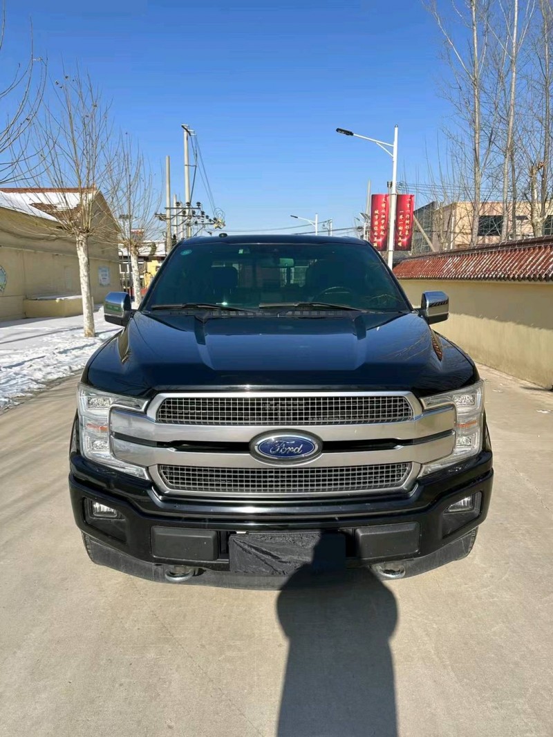 廊坊20年福特F-1501