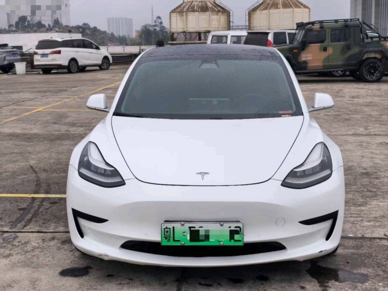 東莞20年特斯拉MODEL 31