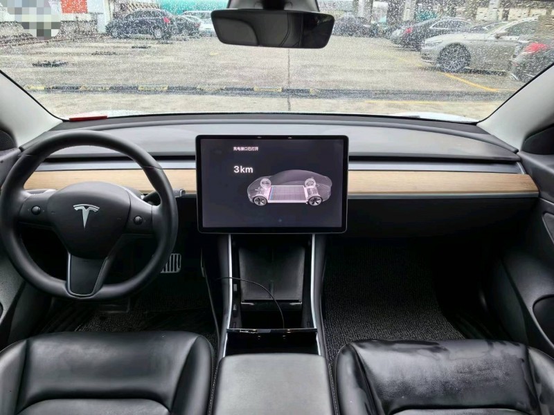 東莞20年特斯拉MODEL 34
