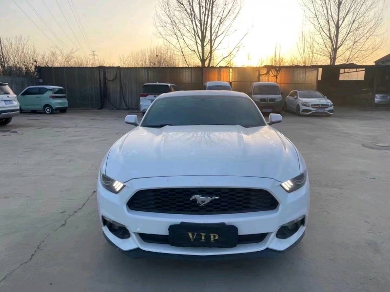 枣庄18年福特野马1