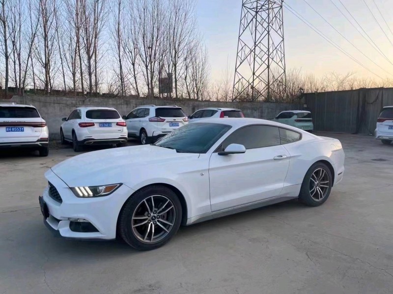 枣庄18年福特野马2