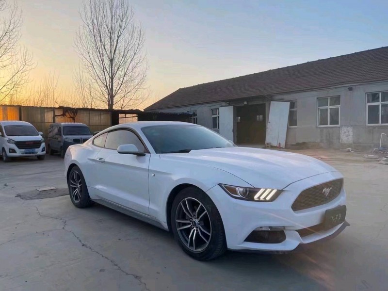 枣庄18年福特野马3