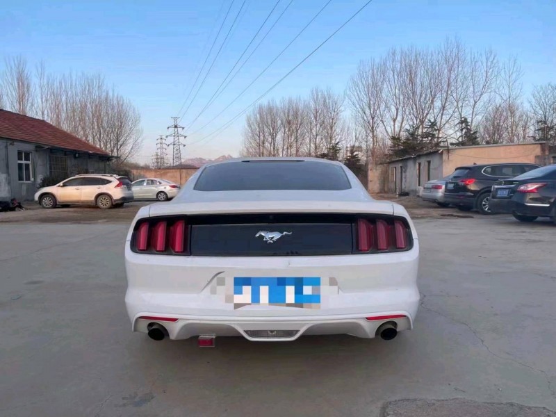 枣庄18年福特野马6