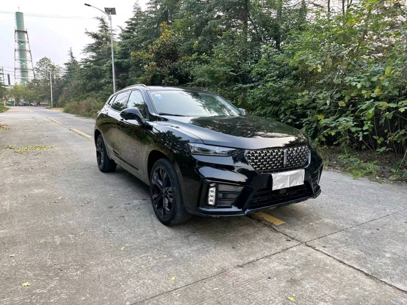 徐州21年长城汽车WEY VV73