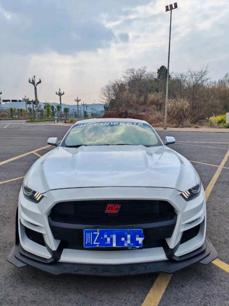 成都18年福特野马1