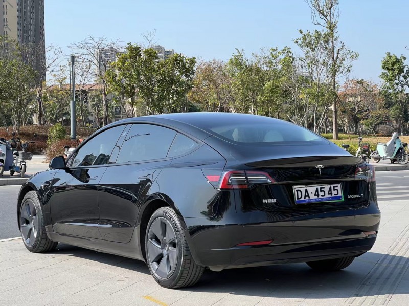 東莞22年特斯拉MODEL 34