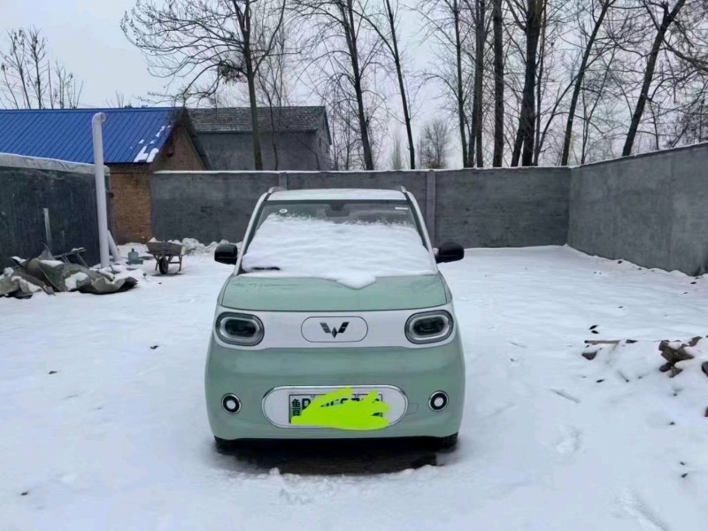 東營23年五菱汽車MINIEV馬卡龍1