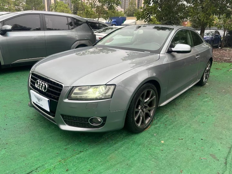 广州10年奥迪A52