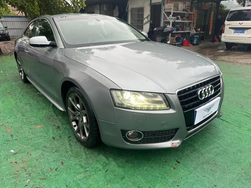 广州10年奥迪A53