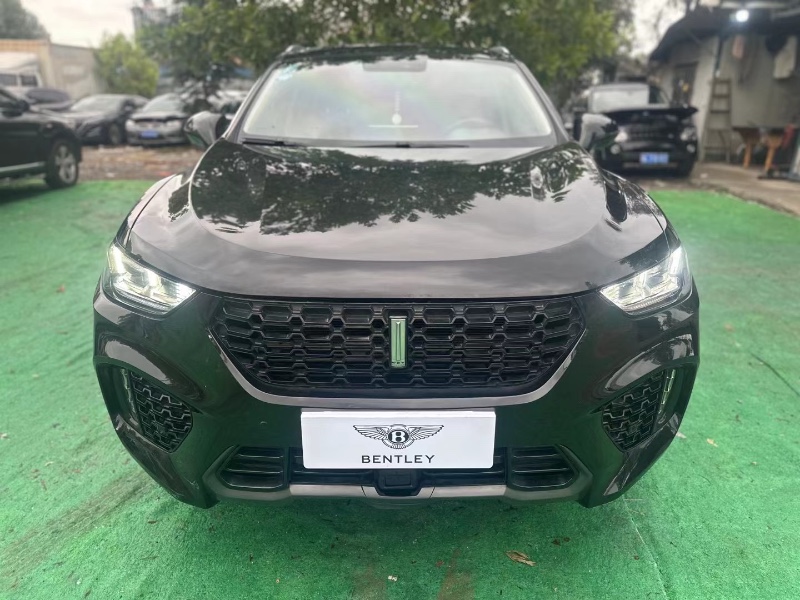 广州19年长城汽车WEY VV51