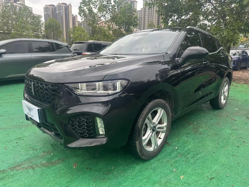 广州19年长城汽车WEY VV52
