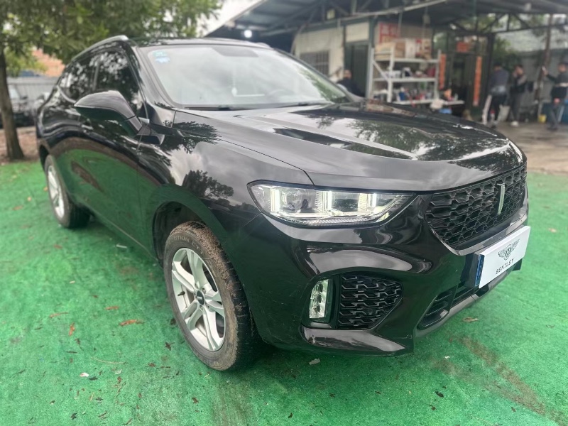 广州19年长城汽车WEY VV53