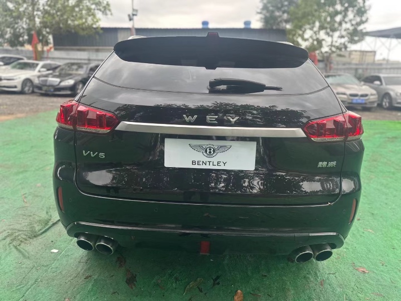广州19年长城汽车WEY VV55