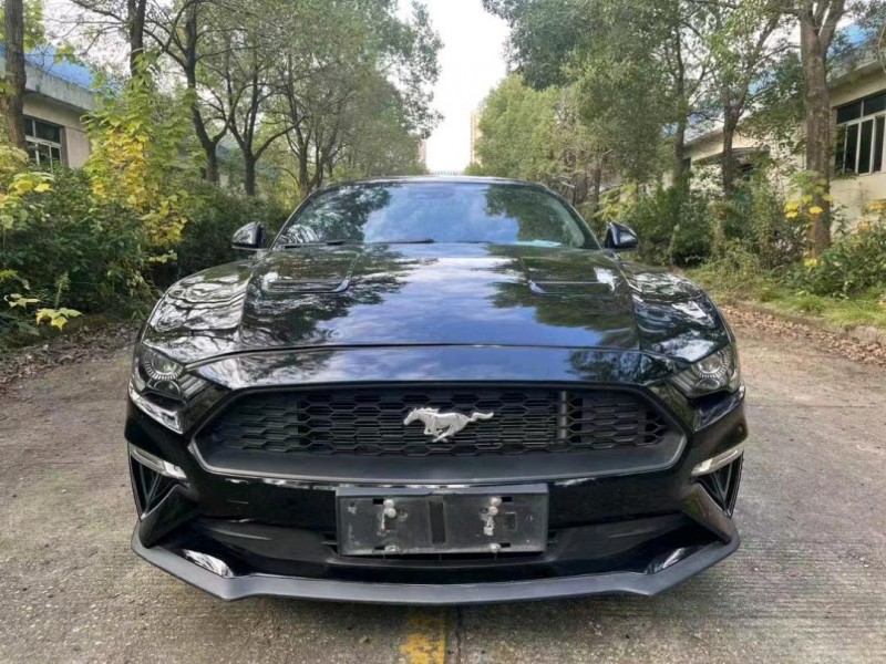 邵阳19年福特野马1