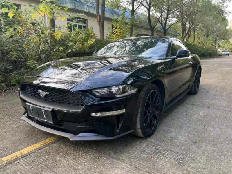 邵阳19年福特野马2