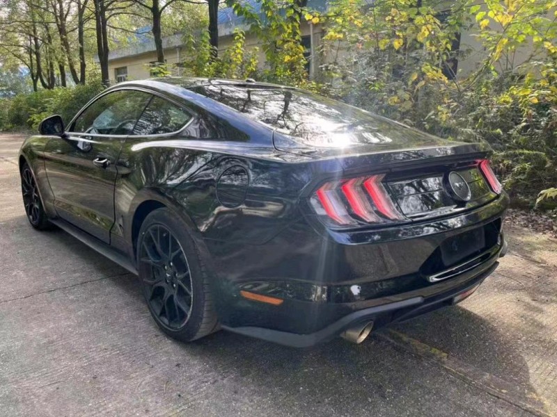 邵阳19年福特野马5