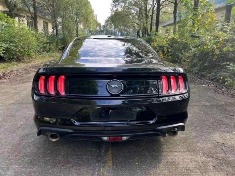 邵阳19年福特野马9