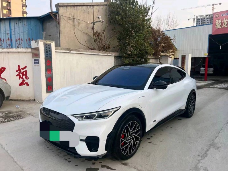 枣庄22年福特玛斯丹GT2