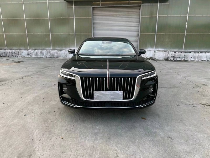徐州20年红旗H91