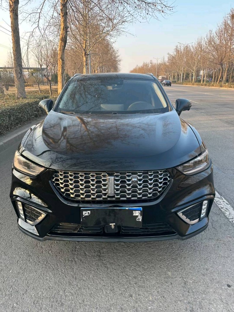 潍坊20年长城汽车WEY VV51