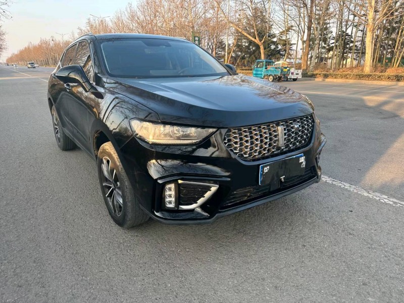 潍坊20年长城汽车WEY VV52