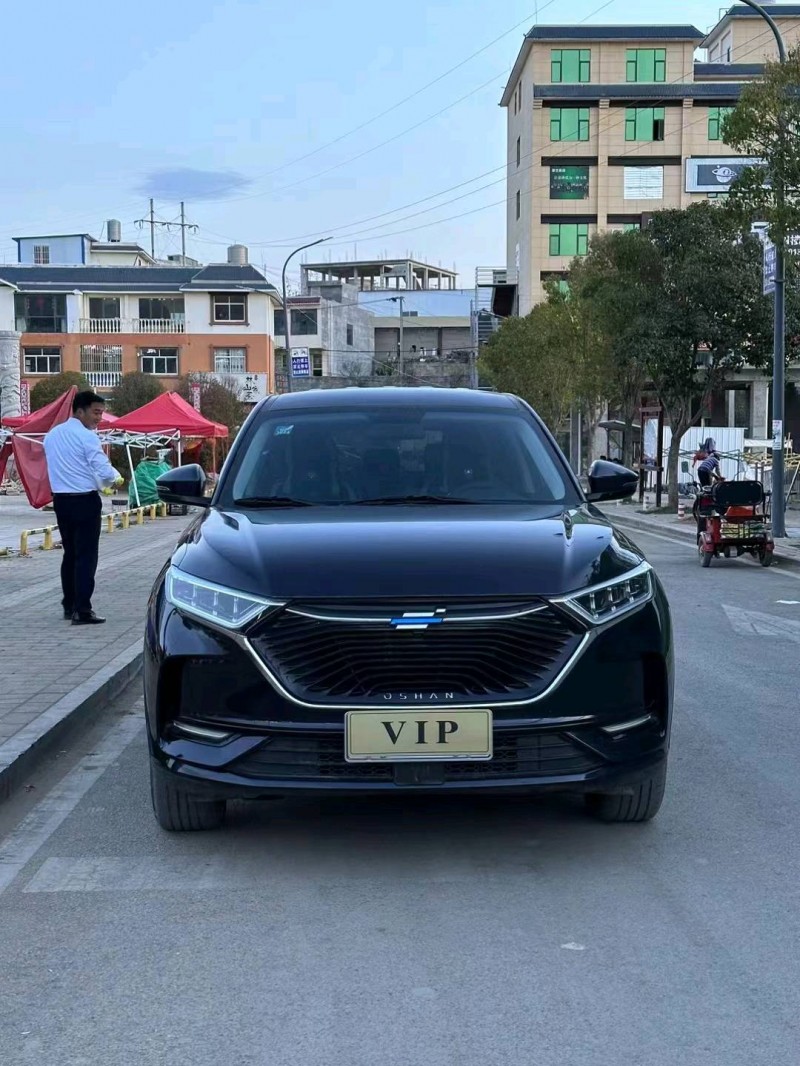 遵義20年長安汽車歐尚1
