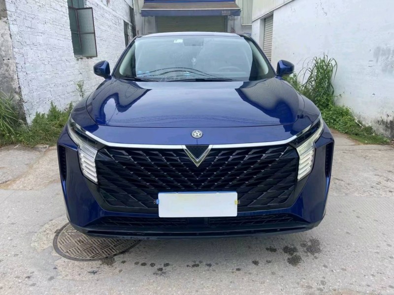 廣州22年啟辰大V1