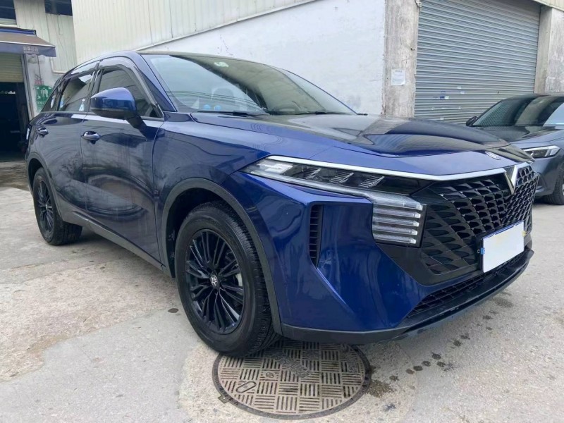 廣州22年啟辰大V2