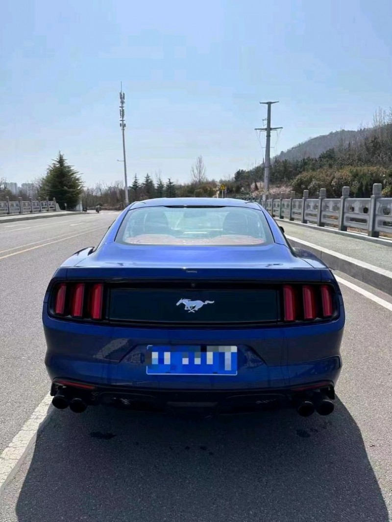 东营15年福特野马7