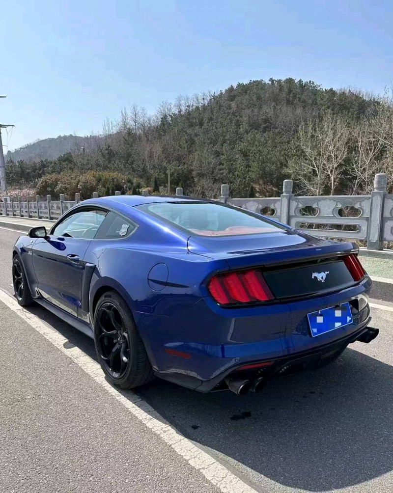 东营15年福特野马9