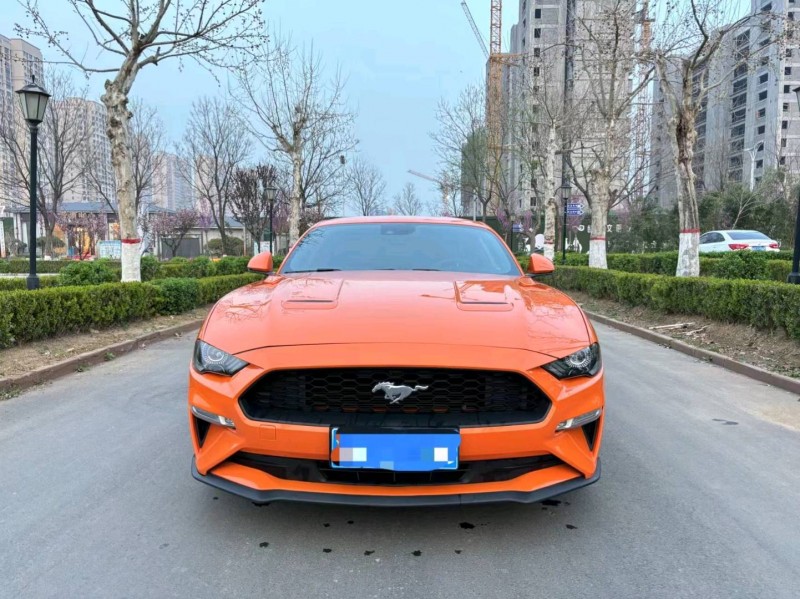 枣庄21年福特野马1