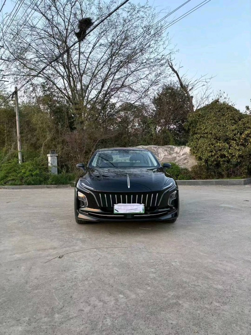 徐州23年红旗E-QM51
