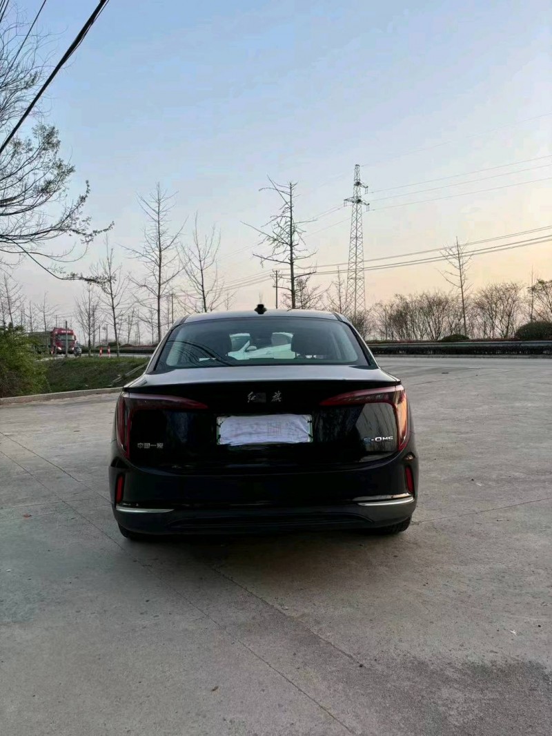 徐州23年红旗E-QM59
