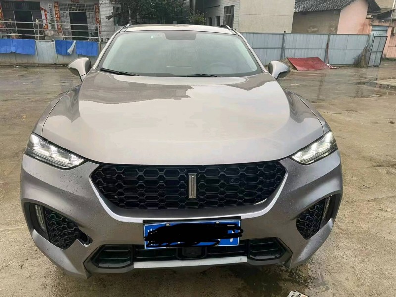 湘潭18年長城汽車WEY VV71