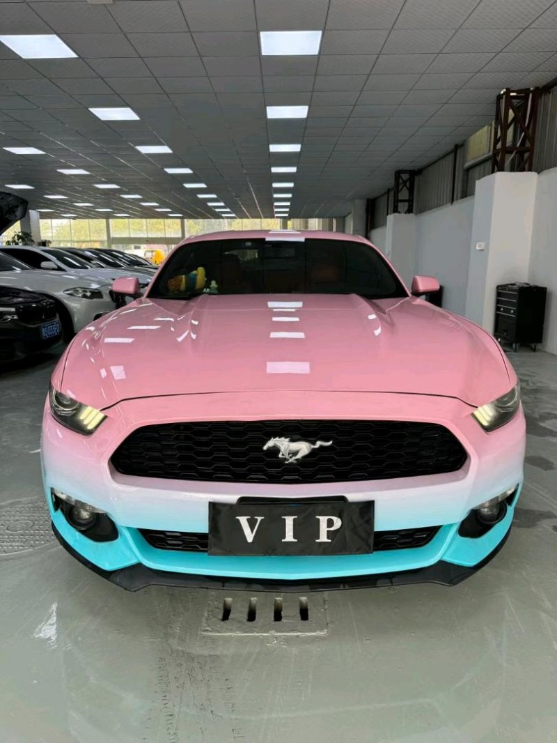 东莞17年福特野马1