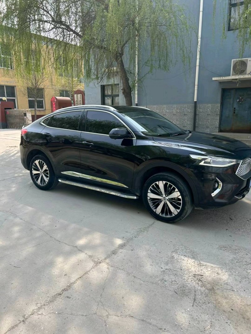 保定19年哈弗F7x2