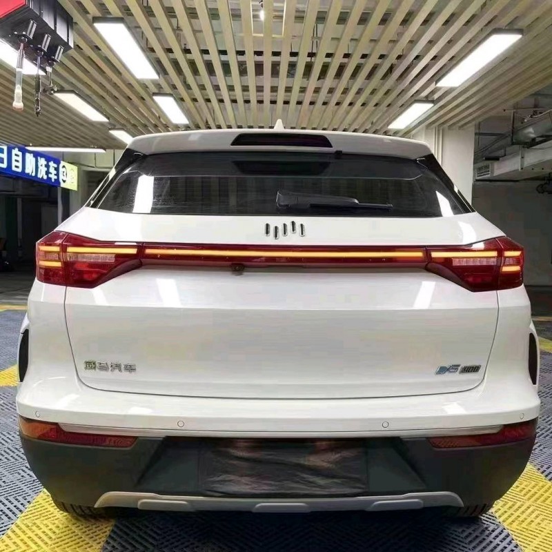 成都21年威马汽车EX-55