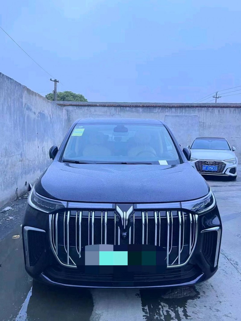 嘉興23年嵐圖汽車夢想家1