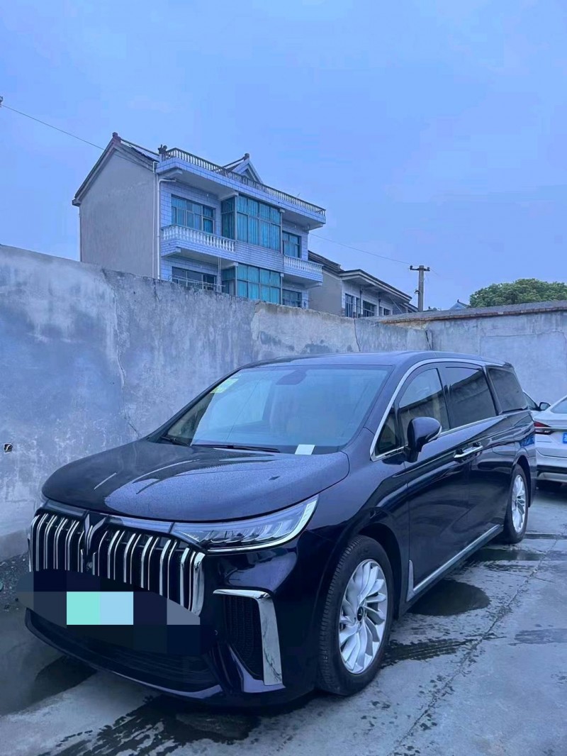 嘉興23年嵐圖汽車夢想家2