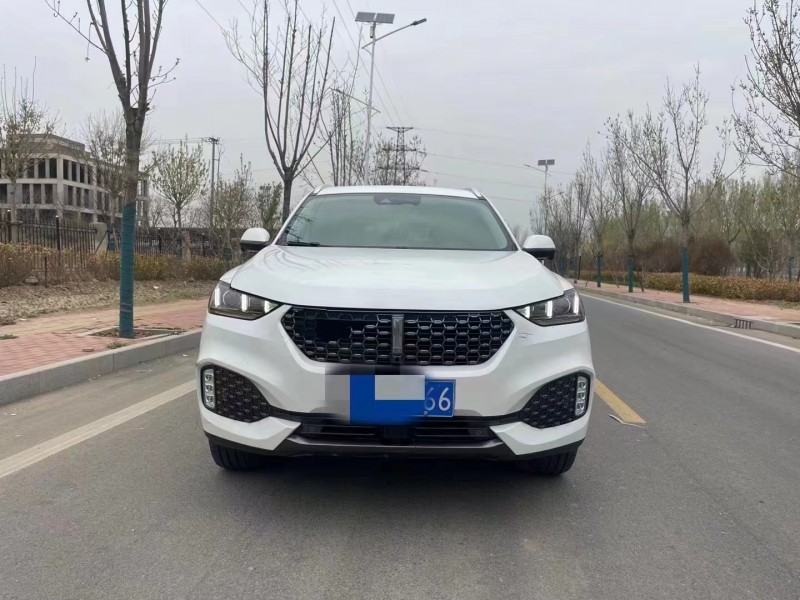 廊坊20年长城汽车WEY VV61